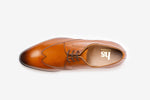 WingCap Derby-T